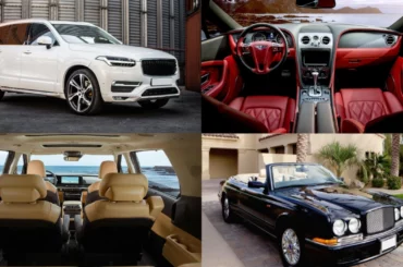 Best Car Color Combinations For Exterior And Interior Styles That Buyers Love
