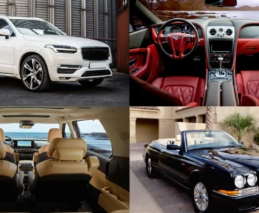 Best Car Color Combinations For Exterior And Interior Styles That Buyers Love